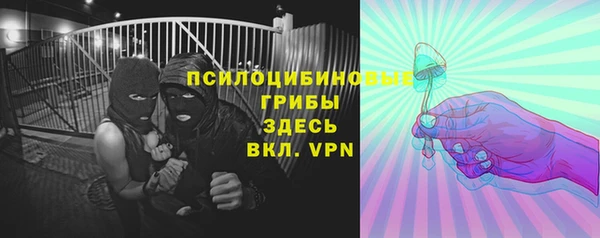 прущие грибы Коряжма