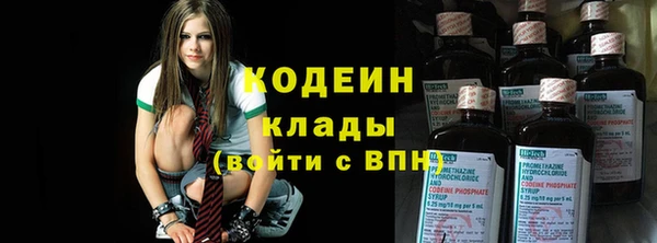 ешки Корсаков