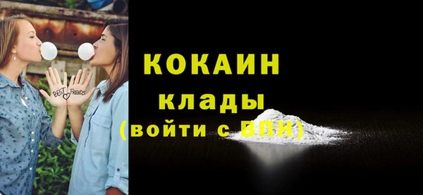 ешки Корсаков