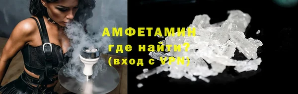 прущие грибы Коряжма