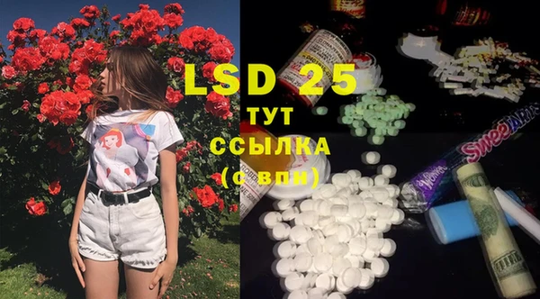 прущие грибы Коряжма