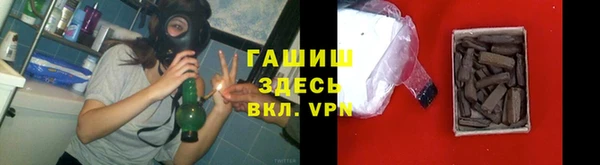 прущие грибы Коряжма