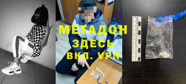 прущие грибы Коряжма