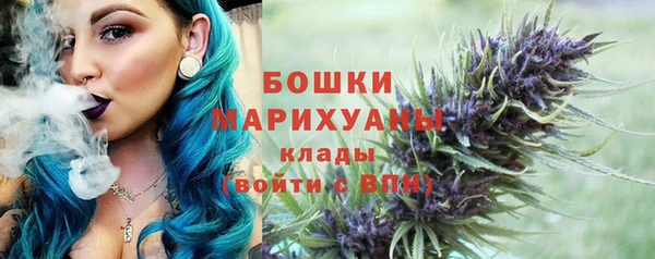 прущие грибы Коряжма
