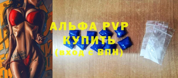 ешки Корсаков