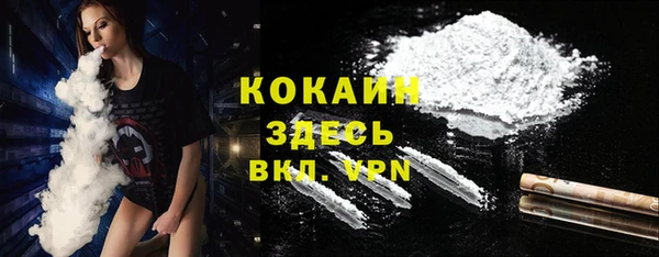 прущие грибы Коряжма